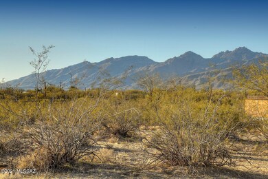 DSC_0435A