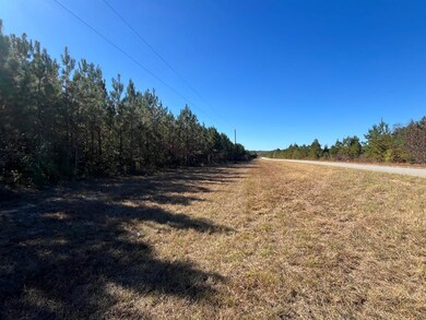 Henry Co Rd 46, Shorterville, AL 36373 - photo 5