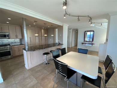 North Shore Towers unit 32O, Floral Park, NY 11005 - photo 7