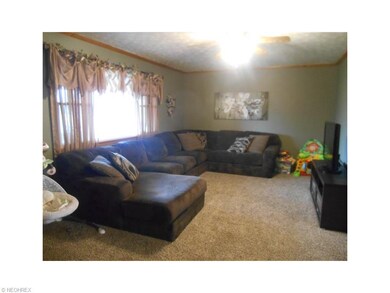 Living Room with New Carpet