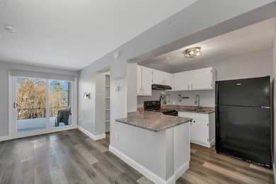 107 Treetop Cir unit 11, Laconia, NH 03246 - photo 4