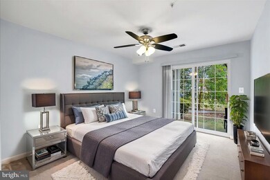 11405J Windleaf Ct unit 178, Reston, VA 20194 - photo 4