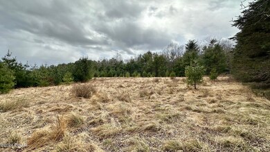 0 Long Ridge Rd unit PWBPW240661, Hawley, PA 18428 - photo 2