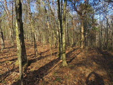 View of local wilderness