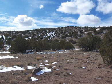 0 Cuchillo de Oro, Placitas, NM 87043 - photo 5