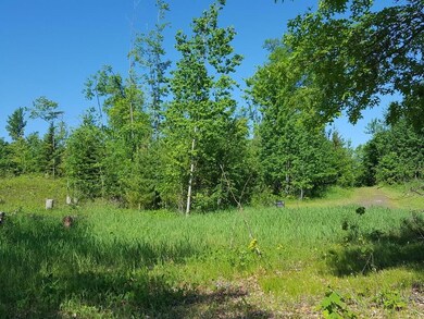 Lot 4 Hopkins Rd, Sand Lake Township, WI 54893 - photo 7
