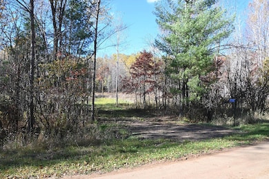27727 Oberon Loop, Moran Township, MN 56438 - photo 2