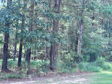 190 Ella Point, Lumberton, MS 39455 - photo 4