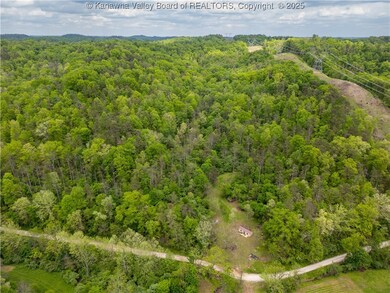 2656 Coleman Creek Rd, Fraziers Bottom, WV 25082 - photo 6