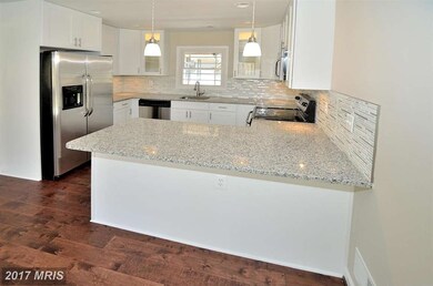 13016 Maple View Ln, Fairfax, VA 22033 - photo 4