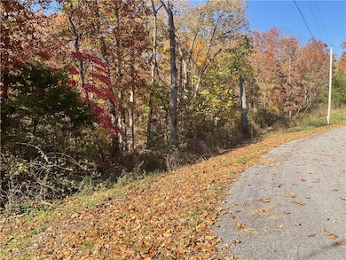 TBD Morvan Ln, Bella Vista, AR 72715 - photo 3