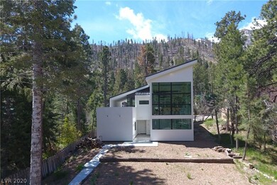 Modern contemporary masterpiece in the pines!