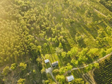 2643 Highway 188, Ochlocknee, GA 31773 - photo 4