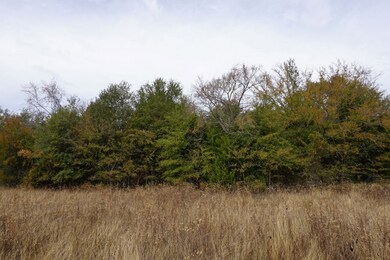 01 Cr 1316, Malakoff, TX 75148 - photo 5