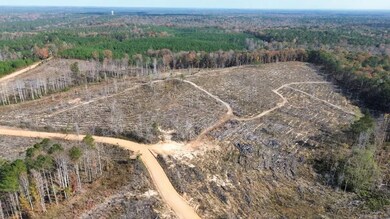 40 Boromville Rd, Hurtsboro, AL 36860 - photo 6