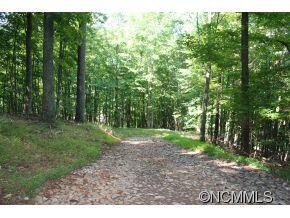 1218 Kanawa Ln unit 123, Arden, NC 28704 - photo 6