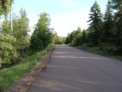 Lot 14 Tranquil Place, Bigfork, MT 59911 - photo 5
