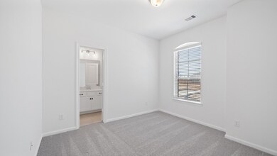 319 E Coralburst Loop, Montgomery, TX 77316 - photo 5