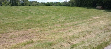 0 Vantrease Rd, Franklin, KY 42134 - photo 7