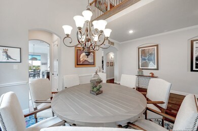 25718 Coreopsis, San Antonio, TX 78261 - photo 7