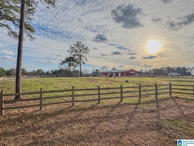 10450 Thermal Rd, Trafford, AL 35172 - photo 4