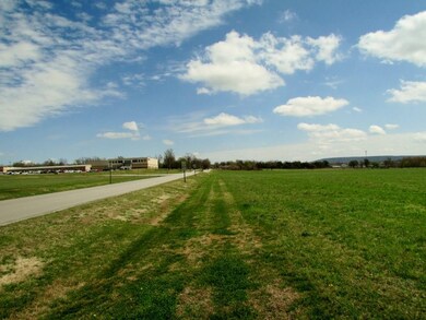 730 W Buchanan St, Prairie Grove, AR 72753 - photo 4