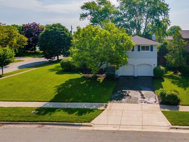 4904 Widner Street (Tevisvisuals.com)