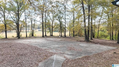 319 Henderson Rd, Lincoln, AL 35096 - photo 4