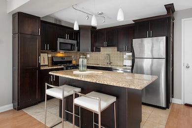 Michaels Terrace unit 506, Chicago, IL 60610 - photo 7