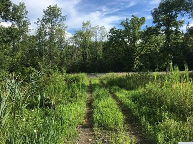 0 Roundtop #3 Rd, Germantown, NY 12526 - photo 4