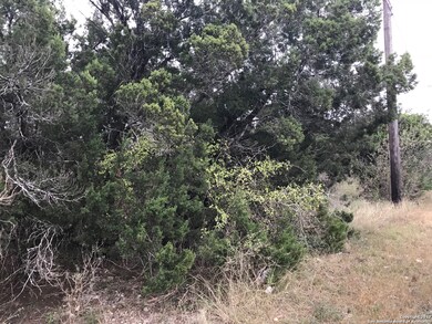 3880 E Evans Rd, San Antonio, TX 78259 - photo 3