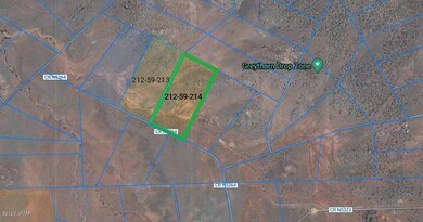 satellite view