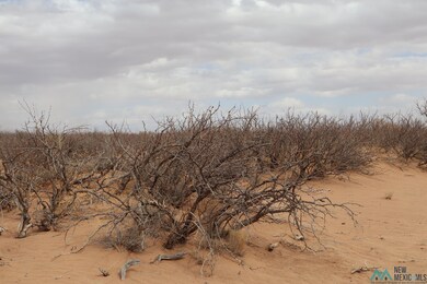 0 Ojo Rd SW unit 20251306, Deming, NM 88030 - photo 2