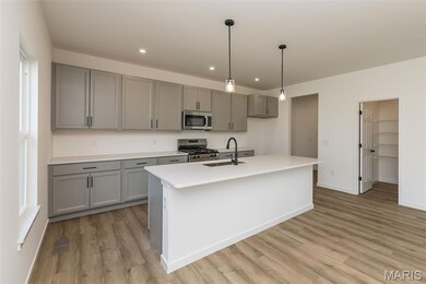 215 Townshead Way, O'Fallon, MO 63368 - photo 5