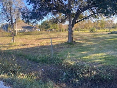 7444 King St, Manvel, TX 77578 - photo 2