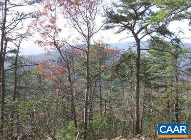 1 Brokenback Mountain Rd, Free Union, VA 22940 - photo 2