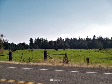 Rural neighborhood with cows grazing nearby