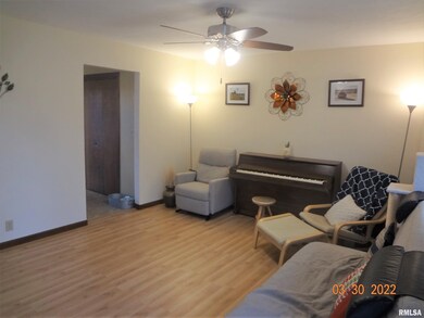 805 Bryan Ave, Lincoln, IL 62656 - photo 4