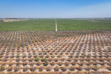 2025-08-29-Earlimart-78-acres-almonds-00