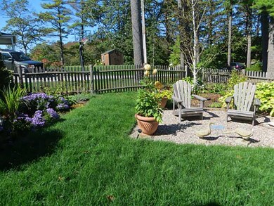 Yard/Garden.
