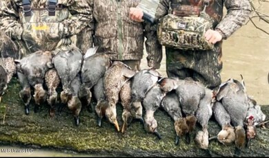 0 County Road 526 unit 4103391, Minter City, MS 38944 - photo 5