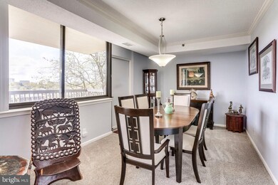 5501 Seminary Rd unit 308S, Baileys Crossroads, VA 22041 - photo 6