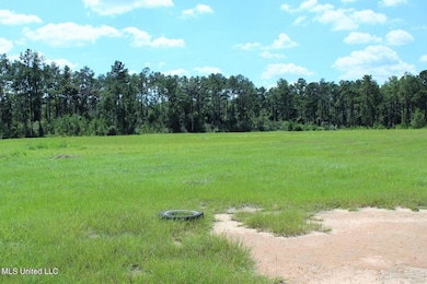 9.8 Acres Highway 98, Lucedale, MS 39452 - photo 7