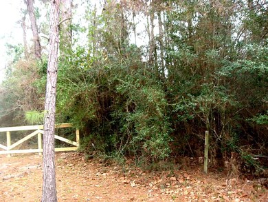 26652 Joseph, Hockley, TX 77447 - photo 2