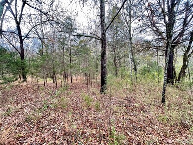 2234 Corinth Rd, Gaffney, SC 29340 - photo 2