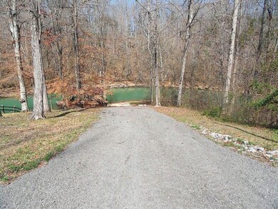 1 Long Point Dr, Rock Island, TN 38581 - photo 4