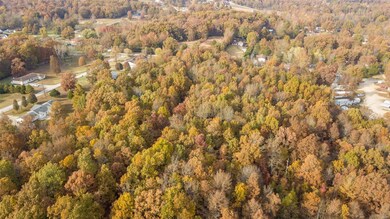 0South of County Road 468, Poplar Bluff, MO 63901 - photo 6