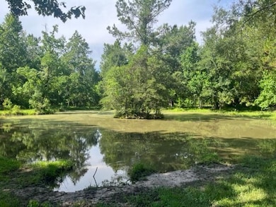13.37 Acres Boyd Rd, Covington, LA 70435 - photo 3