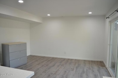 No Carpet all Luxury Vinyl Plank Floors