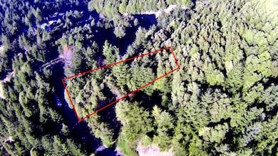 85 Carson Ct, Shelter Cove, CA 95589 - photo 6